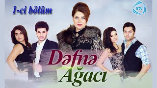 Dəfnə ağacı (1-ci bölüm)
