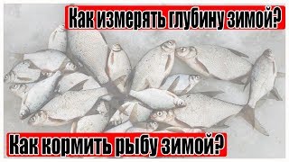 Глубиномер для зимней рыбалки своими руками. Как кормить рыбу зимой?