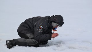 Спортивная мормышка. Чемпионат Кемеровской области 26-28.02.2016 Беловское вдх.