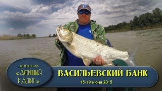 Рыбалка в Астрахани. Нижняя Волга. Рыболовная база ФораФиш.