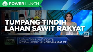 Tumpang Tindih Lahan Sawit Rakyat Hambat Implementasi Program PSR