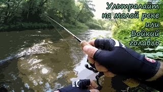 Ультралайт на малой реке или бойкий голавль 28.07.2016