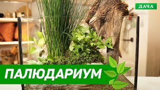 ФИТОДИЗАЙН: ПАЛЮДАРИУМ СВОИМИ РУКАМИ