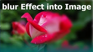 How to Add blur Effect into Image in Microsoft Word 2017