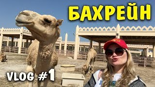 Бахрейн 2019. Манама. Отдых в Бахрейне Отзывы. Цены. Экскурсии.