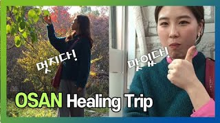 오산에서 먹고, 기도하고, 사랑하라!(feat. 2019 제2회 오산 콘텐츠 공모전 1인크리에이터 부문 수상작)
