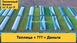 Что выгодно выращивать на продажу в теплице круглый год? Рентабельный тепличный бизнес