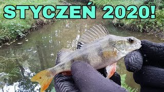 ŁOWIENIE RYB NA LEŚNYM STRUMYKU #2 Łowienie ryb w zimę
