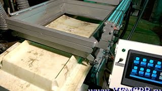 Автоматическая вакуум-формовочная линия, automatic thermoforming machine