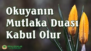 Okuyanın ” Mutlaka Duası Kabul Olur” | Şifalı Dualar