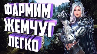 Black Desert Mobile Global Легкий Заработок Жемчуга