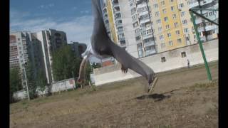 Туториал на би-твист (обучение)