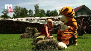 Mathetiger und die Zehnerzahlen