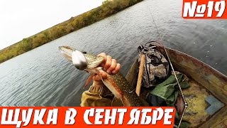 ЛОВЛЯ ЩУКИ  НА "ЛОЖКУ" (небольшой видео отчет)