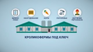 Промышленные кроликофермы