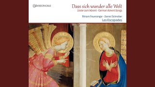 Gaudete [Introitus]