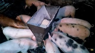 Кормушка для поросят своими руками / Feeding trough for piglets with own hands