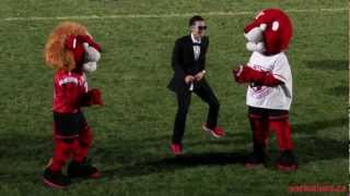 York Lions | Gangnam Style invades York University football game