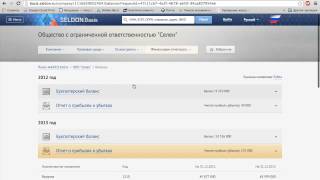 6659216161 — проверка контрагента в системе Seldon.Basis