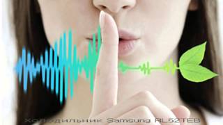Холодильник SAMSUNG RL52TEBSL