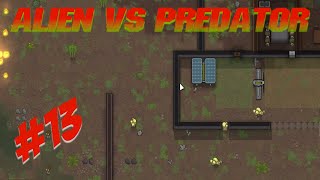 ? Manhunting boomalopes !!!  | Rimworld alien vs predator mod  | Ep 13