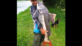 Pesqueiro Castelinho - Amental Fishing  - PennRaiba Carretilhas