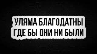 463. Уляма благодатны где бы они ни были || Ринат Абу Мухаммад