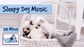 Sleepy Dog Music! Watch Your Dog Fall Asleep to our Music!