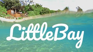 Snorkeling / Freediving at Little Bay, Sydney (New South Wales. Australia)