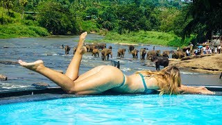 ШРИ ЛАНКА 2019. Сколько денег брать? Что посмотреть? Куда поехать? Цены на Шри Ланке. Аренда Авто