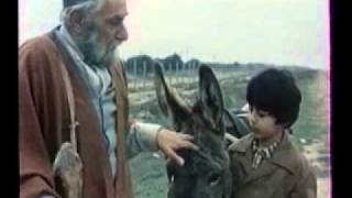 Фильм "Нарцисс"