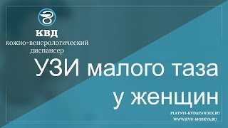 480  УЗИ малого таза у женщин