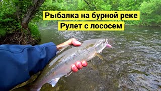 Рыбалка на бурной реке. Рулет с лососем // Cherry Salmon. Catch & Cook