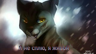 [Клип] Коты-Воители: Остролап ~ Я не сплю (заказ)