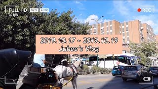 [VLOG] 스페인 교환학생의 일상 브이로그 : 말라가 교환학생의 행복한 삶