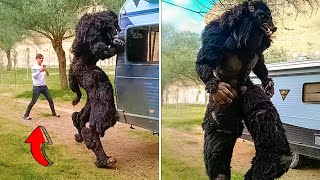 27 Самых Странных Вещей, Которые Вы Увидите Сегодня