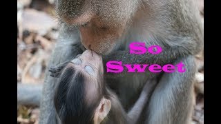 So Sweet baby and Mom - Cute girl Lyndi ,Linda She loves her baby,she always kisses her baby