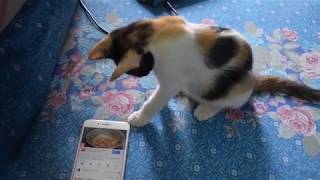 Please Watch This | This Video Is Dedicated To Dudu For Reasons That Are Shown In The Video