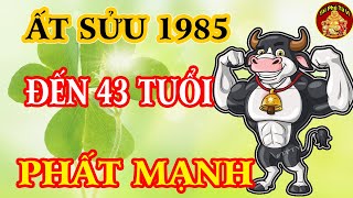 Sách Trời Đã Định Ất Sửu 1985 Đến Tuổi 43 Chuyển Vận Giàu Có Tiền Tiêu 5 Đời Không Hết