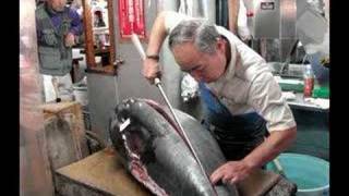 Tsukiji Fish Market - Tokyo
