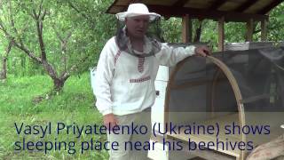 Пчеловодство Украины: Сон и оздоровление на ульях на пасеке, рецепт Василия Приятеленко