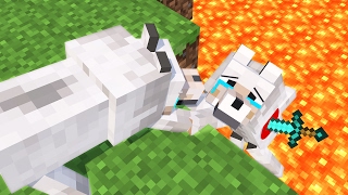 Top 5 Minecraft Life (Minecraft Animation)