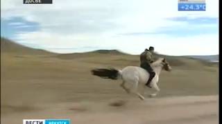 Пять медведей отстрелят в Ольхонском районе за нападение на коров