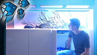Die heftigste Aquarium LED!