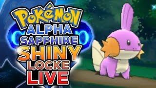 LIVE SHINY MUDKIP SOFT RESETTING! Pokemon Alpha Sapphire ShinyLocke Shiny Hunting w/ HDvee