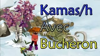 Combien gagne un bucheron 200 en 1h de coupe ? Dofus