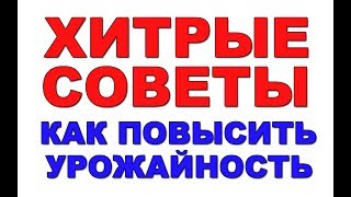 Как повысить урожайность. Сад. Огород. Хитрые советы.