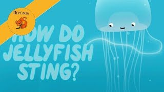 Как медузы жалят - TedEd на русском