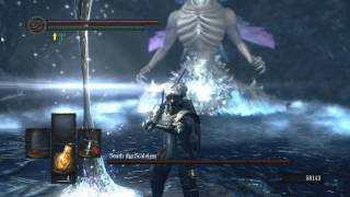 Dark Souls - tail cuts