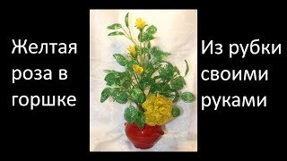 Желтая роза в горшке — часть 1